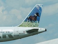 Frontier Airlines - N203FR "Sally the Mustanhg"- 2002 Airbus A320-214 - Hillsborough County (TPA), FL - 04/30/18