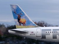 Frontier Airlines - N213FR "Montana the Elk" - 2011 Airbus A320-214 - Albany County (ALB), NY - 11/24/18