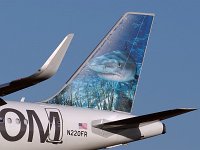 Frontier Airlines - N220FR "Finn the Tiger Shark" - 2013 Airbus A320-214 - Albany County (ALB), NY - 03/22/20