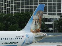 Frontier Airlines - N232FR "Sammy the Squirrel" - 2015 Airbus A320-214 - Hillsborough County (TPA), FL - 04/30/18