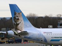 Frontier Airlines - N337FR "Hunter the Bobcat" - 2018 Airbus A320-215N - Albany County (ALB), NY - 12/08/18
