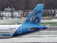 Frontier Airlines - N341FR "Fran the Sea Lion" - 2018 Airbus A320-215N - Albany County (ALB), NY - 11/17/18