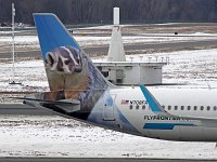 Frontier Airlines - N708FR "Joe Bob the Badger" - 2016 Airbus A321-211 - Albany County (ALB), NY - 03/02/19