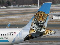 Frontier Airlines - N712FR "Spot the Jaguar" - 2016 Airbus A321-11(WL) - Albany County (ALB), NY - 02/16/19