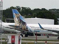 Frontier Airlines - N715FR "Cactus the Coyote"- 2015 Airbus A321-211 - Hillsborough County (TPA), FL - 04/30/18