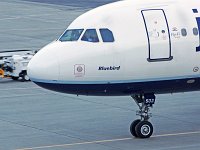 JetBlue - N503JB "Blue Bird"- 1999 Airbus A320-232 - Albany County (ALB), NY - 10/28/16