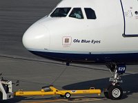 JetBlue - N529JB "Ole Blue Eyes"- 2001 Airbus A320-232 - Albany County (ALB), NY - 08/16/17