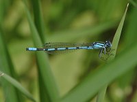 male - Saratoga County, NY - 06/24/06